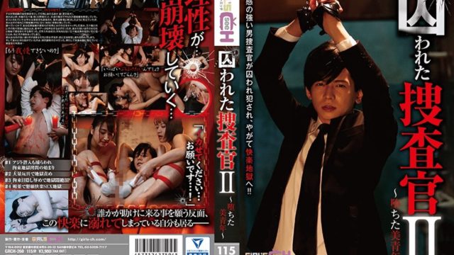 囚われた捜査官II〜堕ちた美青年〜 夏目哉大